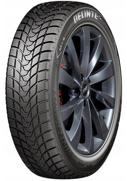 Delinte WD1 195/55 R15