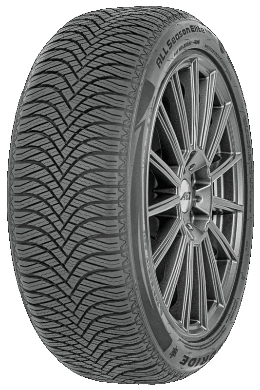 Forceland Elite AS-4 205/60 R16