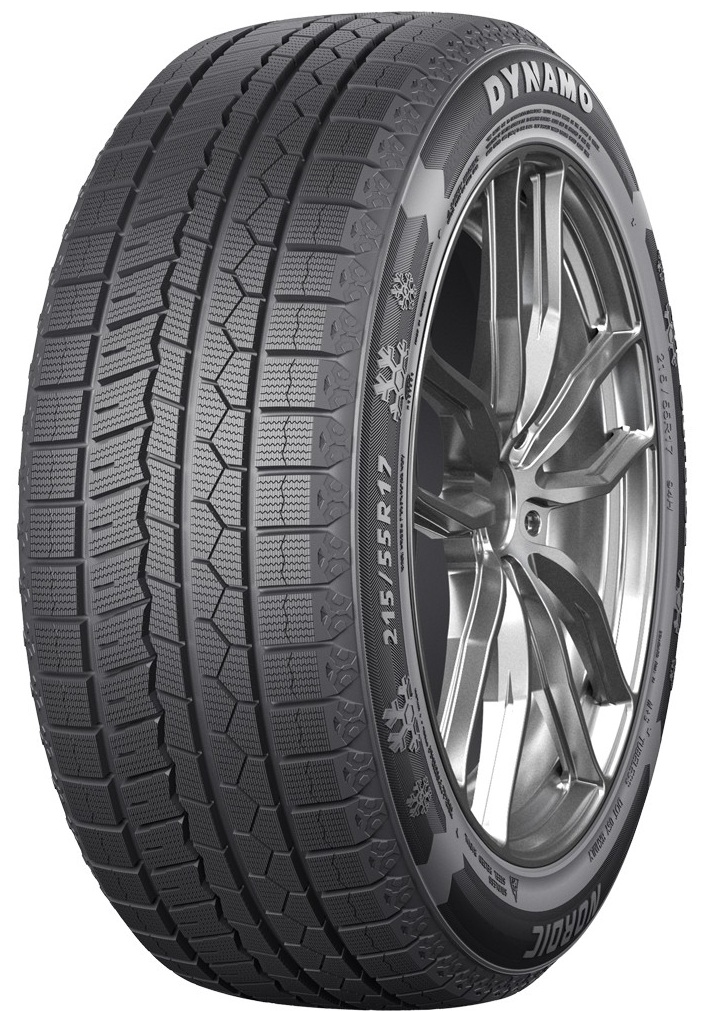 Dynamo Nordic 195/65 R15