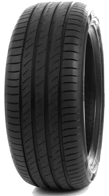 Delinte DS2 255/35 R18
