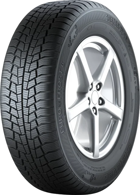 Gislaved Euro Frost 6 225/55 R16