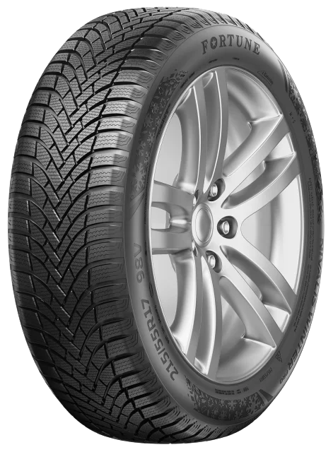 Fortune Nivalis Winter PRO 205/55 R16