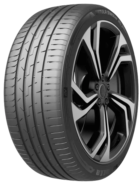 Minerva E-speed 255/45 R21