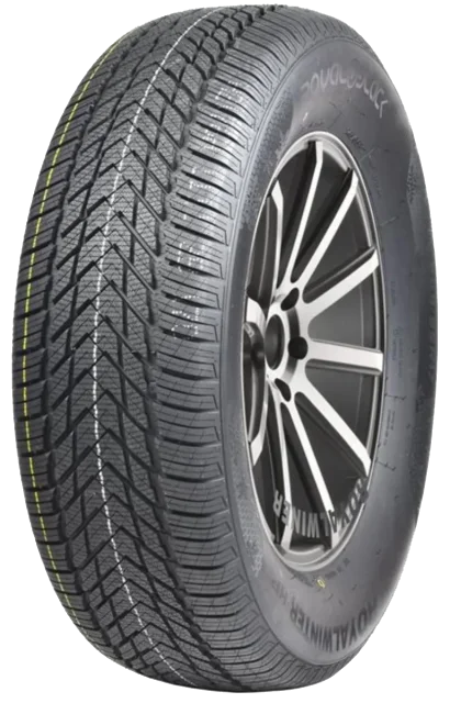 RoyalBlack Royal Winter HP 205/55 R16