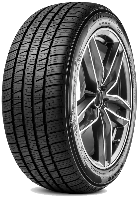 Radar Dimax Winter Sport 245/45 R18