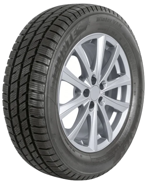 Delinte Winter VAN 195/70 R15