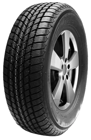 Mastersteel Winter + 225/55 R17