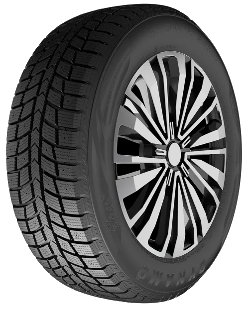 Dynamo Snow-H MWH03 225/65 R16