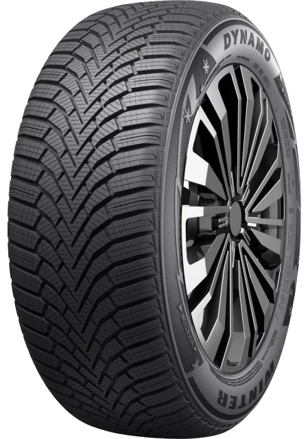 Dynamo Winter 175/65 R13