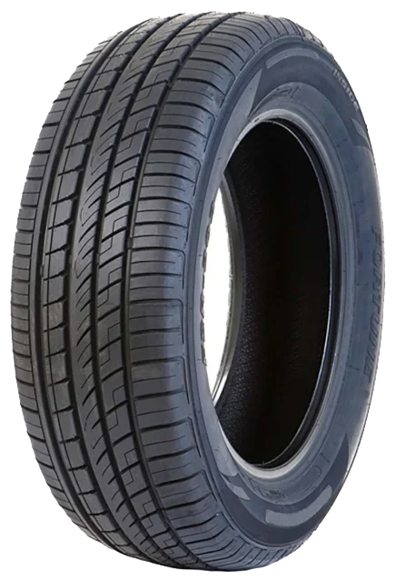 Fortune FSR303 235/65 R18