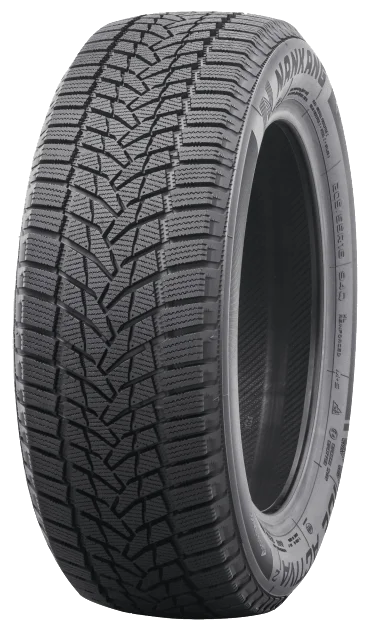 Nankang Ice Activa 2 205/55 R16