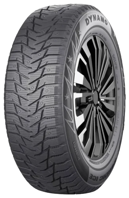 Dynamo Nordic ICE 315/35 R20