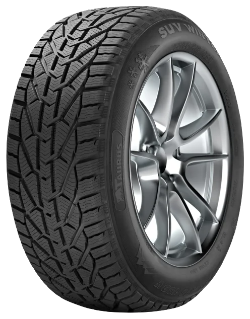 Taurus Winter 185/65 R15