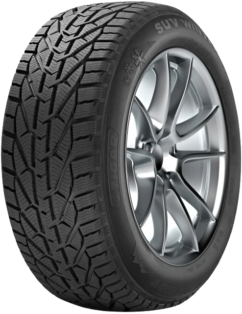Tigar Winter 205/55 R16
