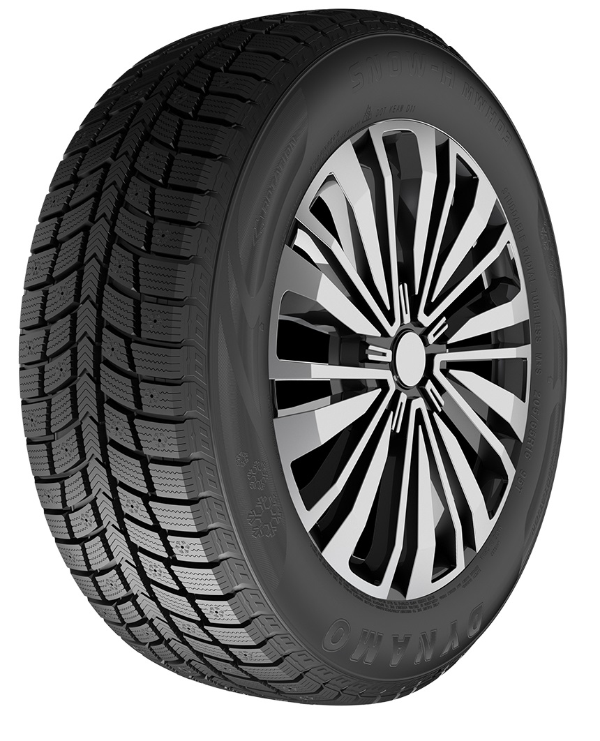 Dynamo Snow-H MWH03 225/65 R16