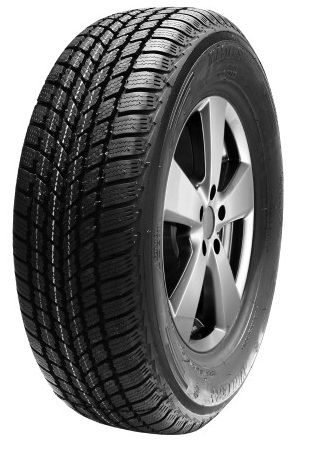 Mastersteel Winter + 225/55 R17