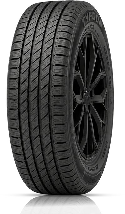 Tyfoon Winter Transport 5 225/65 R16