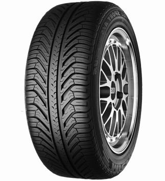 Michelin Pilot Sport A/S + 255/45 R19